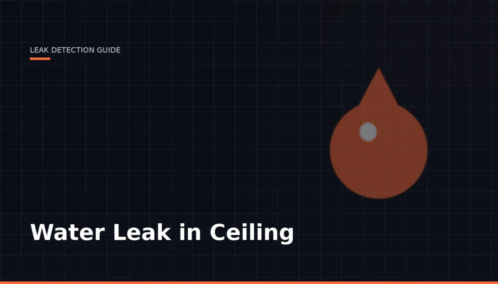 Water Leak In Ceiling — Leak Finder Dubai